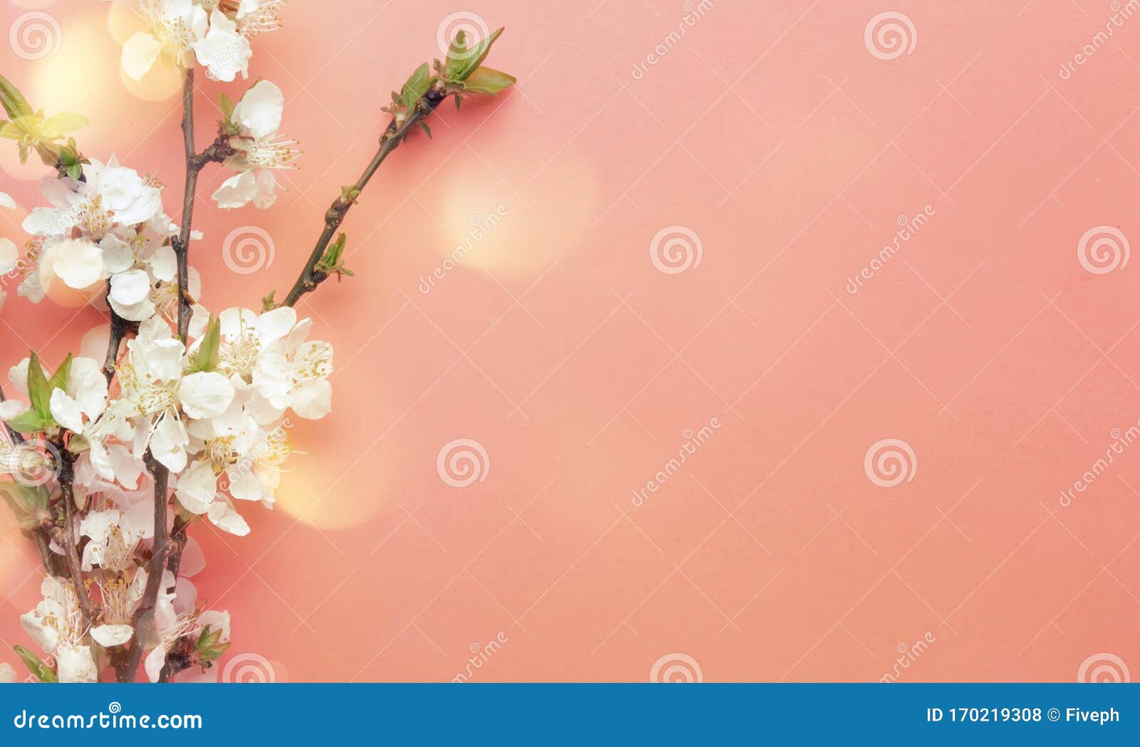 春天大自然背景 花朵呈粉色柔和的迷人色调 顶视图 复制空间春季概念库存照片 图片包括有节假日 问候 春天大自然背景 花朵呈粉色柔和的迷人色调 顶视图 复制空间春季概念库存照片 图片包括有节假日 问候