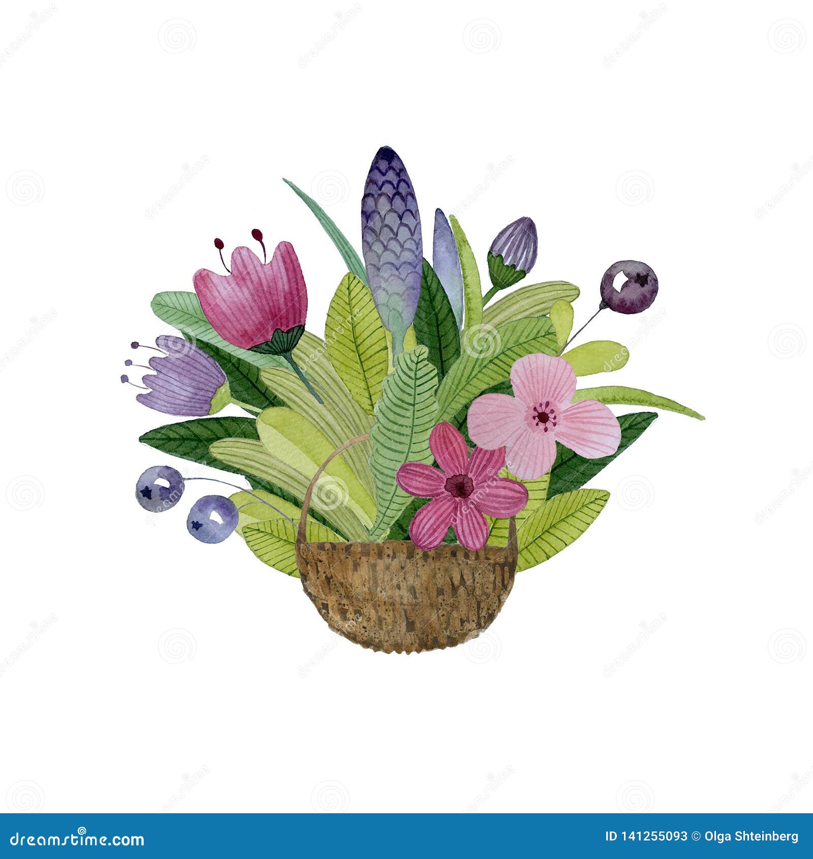春花和浆果的花束弹簧卡水色插图库存例证 插画包括有 春花和浆果的花束弹簧卡水色插图库存例证 插画包括有