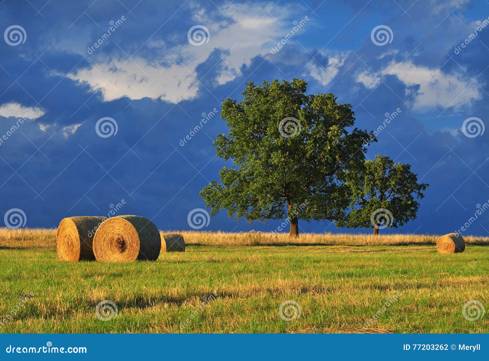 晚夏风景库存照片 图片包括有晚夏风景 晚夏风景库存照片 图片包括有晚夏风景