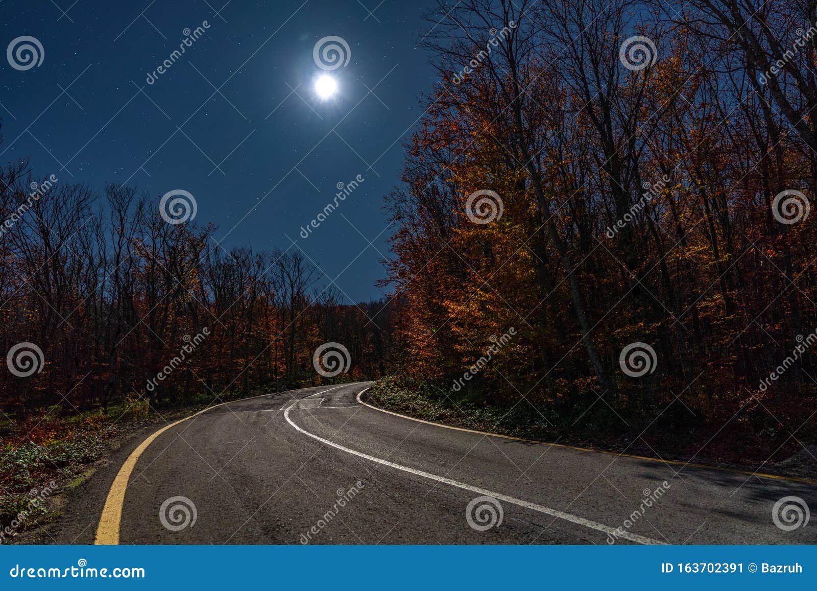 月夜秋林空路库存图片 图片包括有森林 神奇 自治权 汽车 晚上 道路 风险 标号 月夜秋林空路库存图片 图片包括有森林 神奇 自治权 汽车 晚上 道路 风险 标号