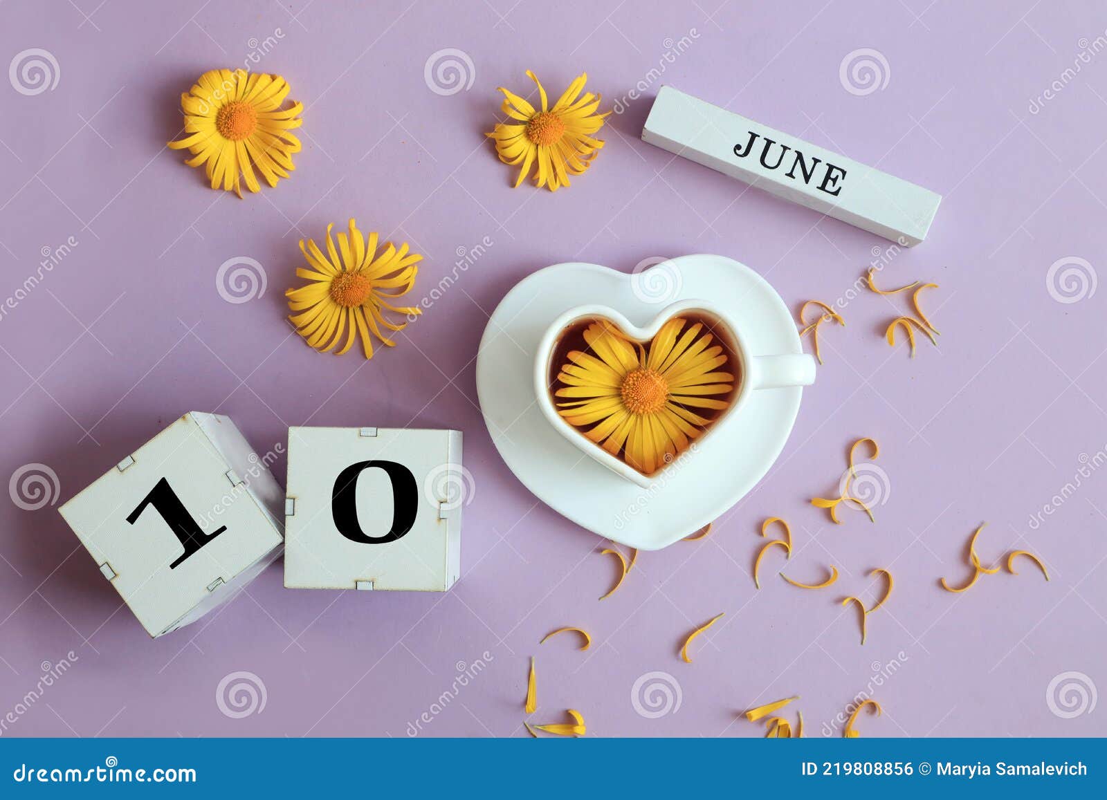 6月10日日历 6月份的英式立方体名称 编号为10杯茶 里面有甘菊库存照片 图片包括有早晨 高兴 6月10日日历 6月份的英式立方体名称 编号为10杯茶 里面有甘菊库存照片 图片包括有早晨 高兴