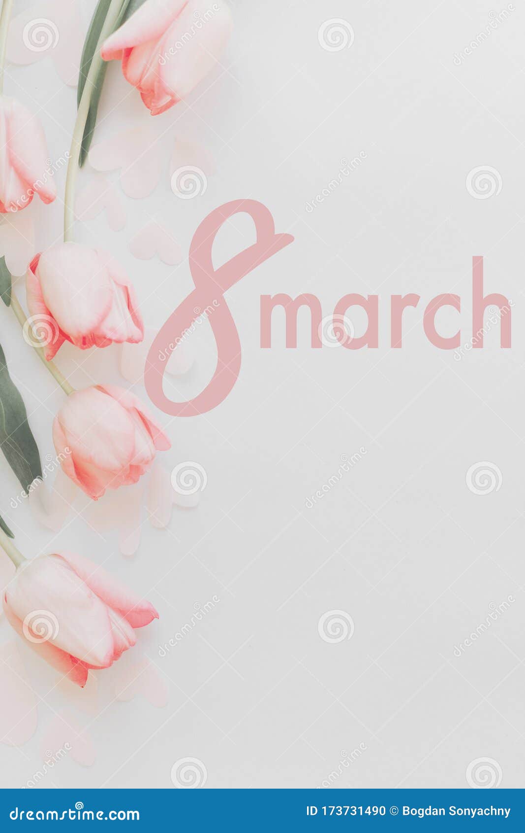 3月欢乐的妇女日花卉贺卡白色背景上粉色郁金香时尚边框的8月文本库存照片 图片包括有字法 海报