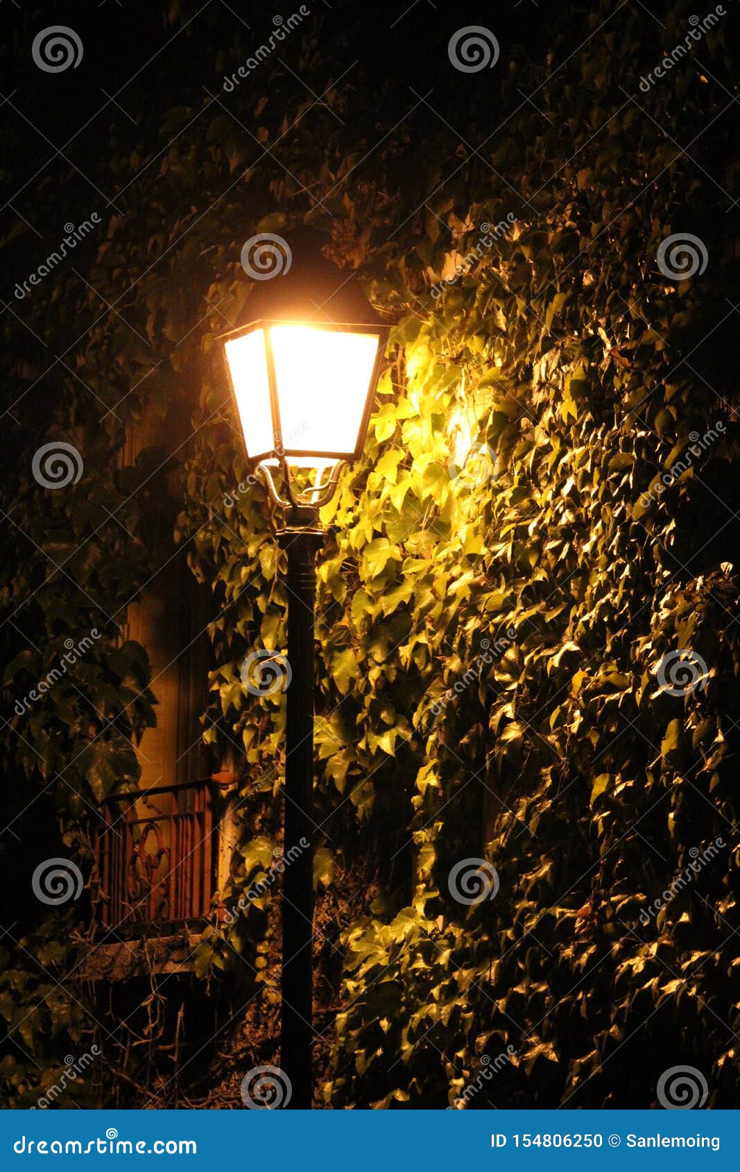 有启发性街灯夜库存照片 图片包括有黑暗 横向 本质 农村 国家 地区 照亮 漫步