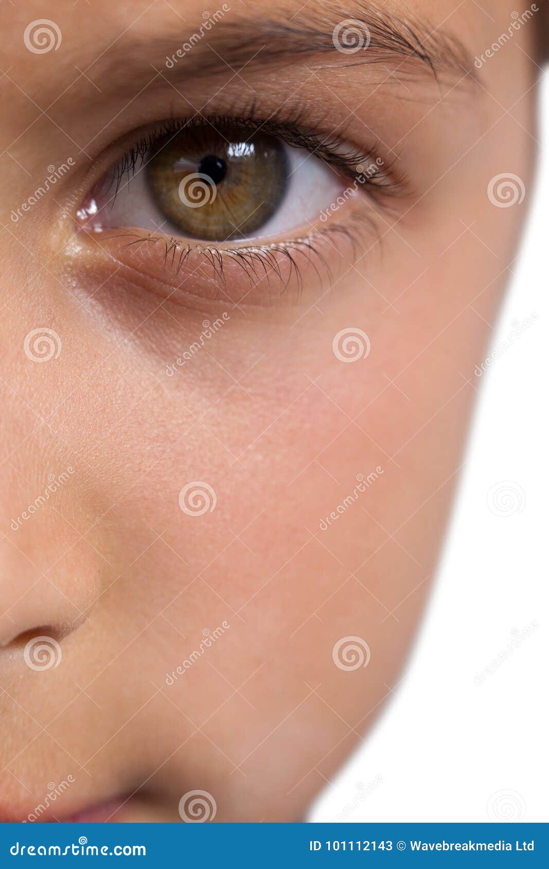 有淡褐色眼睛的男孩库存图片 图片包括有 有淡褐色眼睛的男孩库存图片 图片包括有