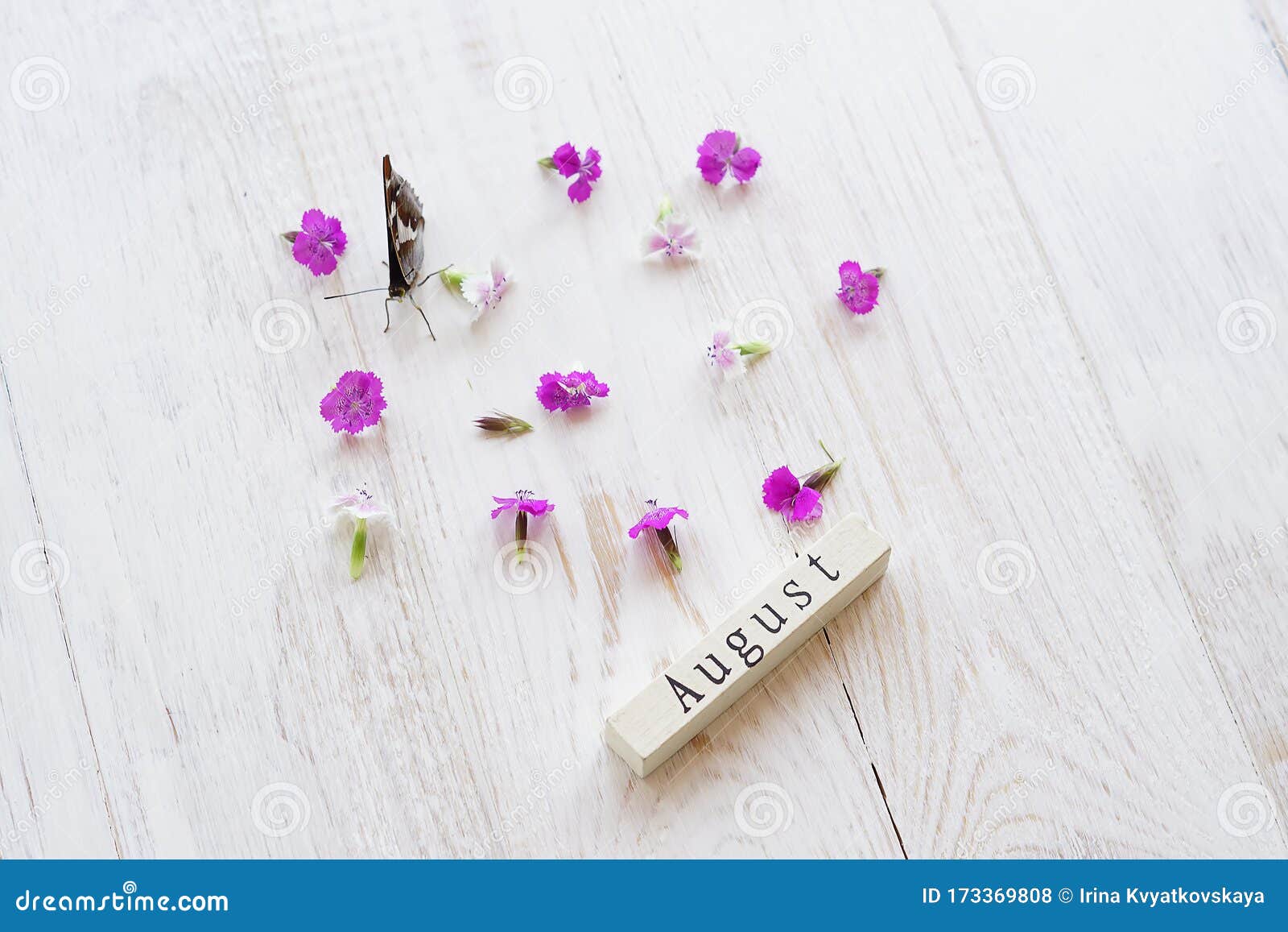 木制日历的顶视图 带有8月标志 蝴蝶和粉红花库存照片 图片包括有木制日历的顶视图 带有8月标志 蝴蝶和粉红花
