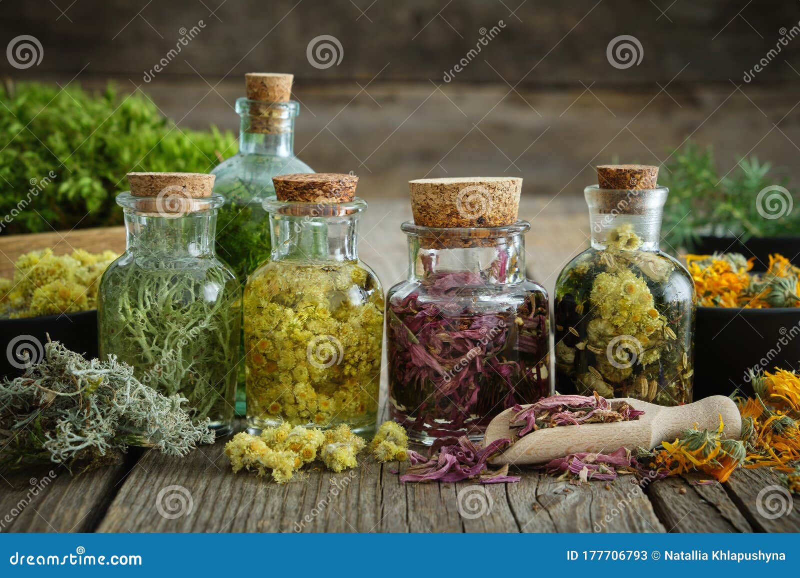 木板上的健康中草药和愈合植物瓶草药库存图片 图片包括有饮料 春黄菊 五颜六色 冰岛语 同种疗法