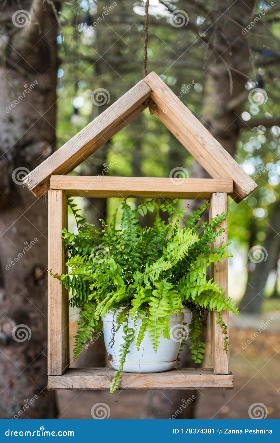 木架上白花盆栽蕨库存图片 图片包括有干净 从事园艺 对象 增长 有机 典雅 架子 本质 木架上白花盆栽蕨库存图片 图片包括有干净 从事园艺 对象 增长 有机 典雅 架子 本质