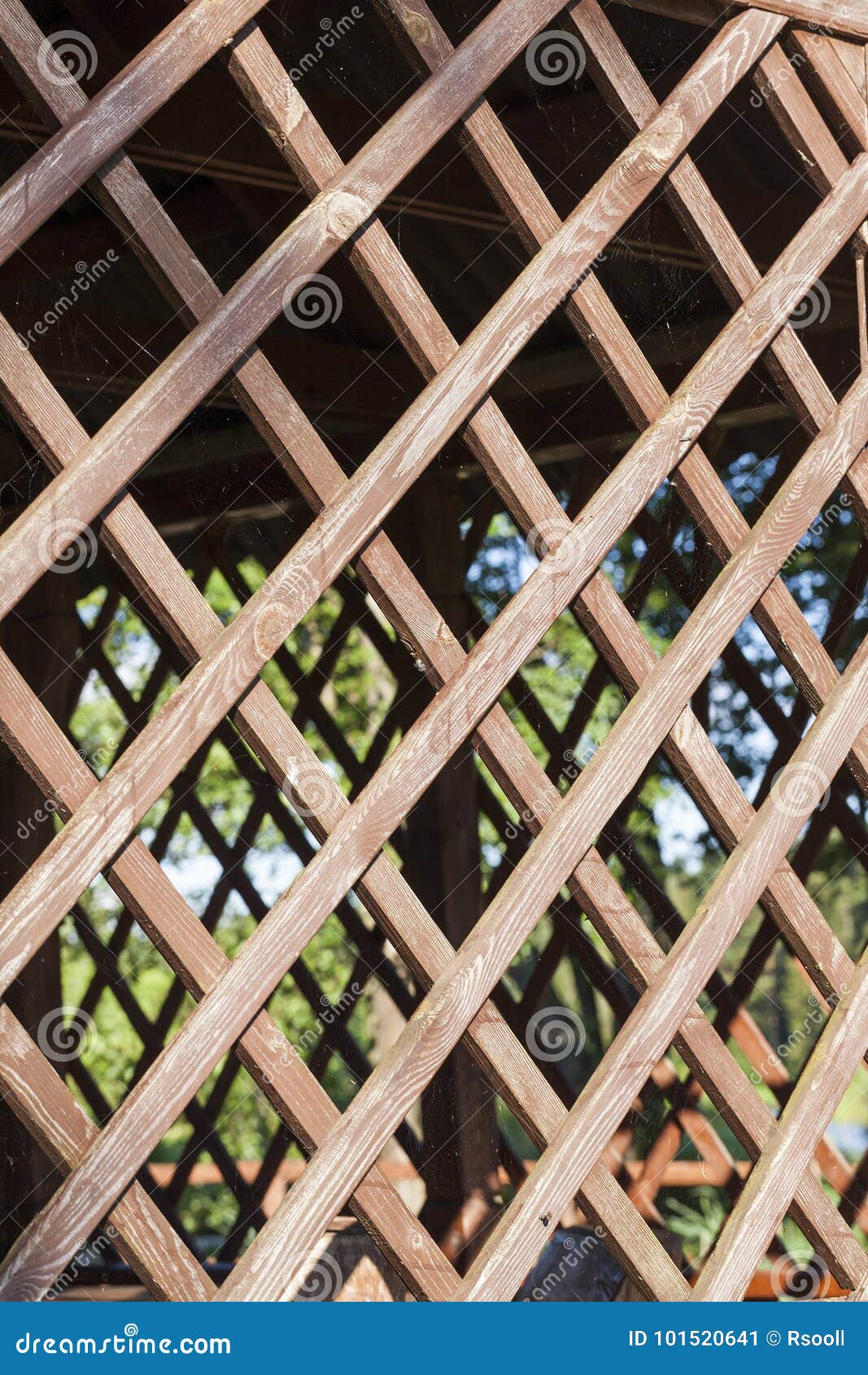 木格子树荫处库存图片 图片包括有夏天 场面 手段 异乎寻常 护拦 室外 对角 拱道