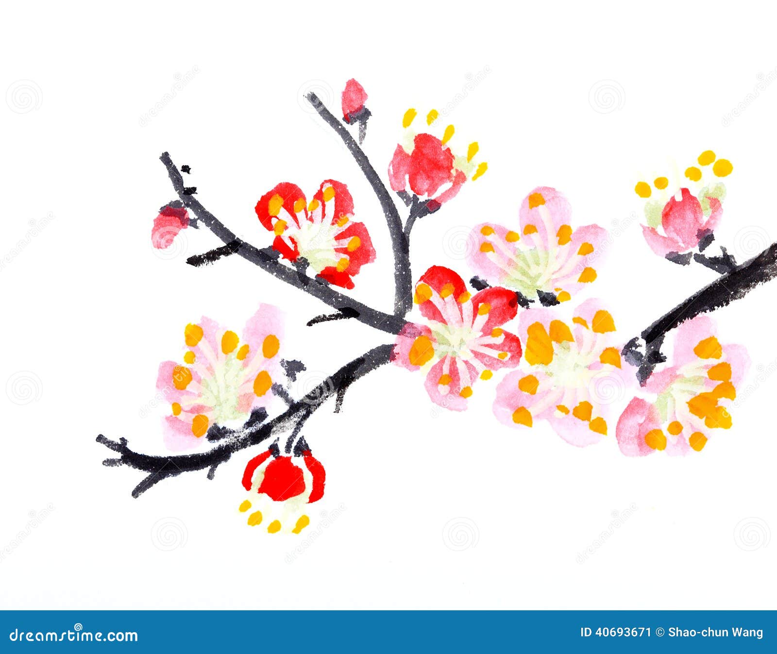 绘李子的开花中国花库存图片 图片包括有粉红色 本质 抽象 文化 汉语 绽放 中国 庭院