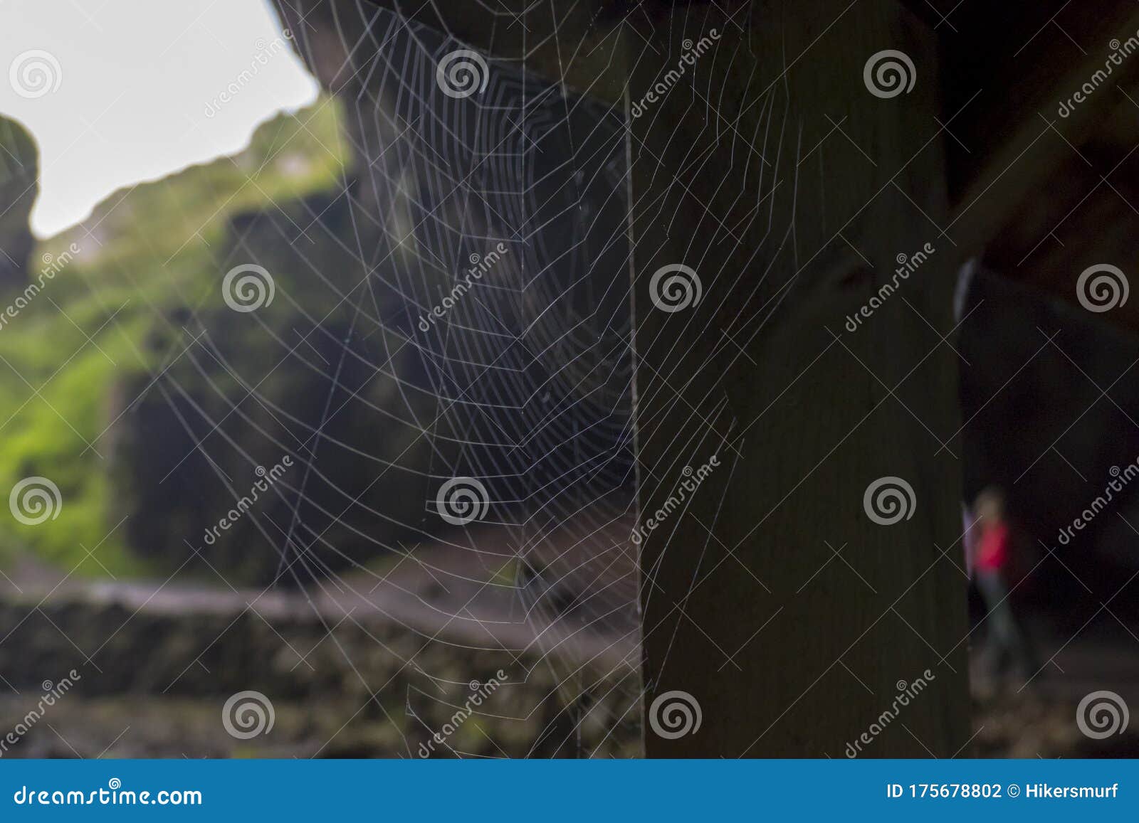 杜内斯斯莫洞木梁蜘蛛网库存照片 图片包括有自治权 陷井 放光 鬼魅 石头 不列塔尼的