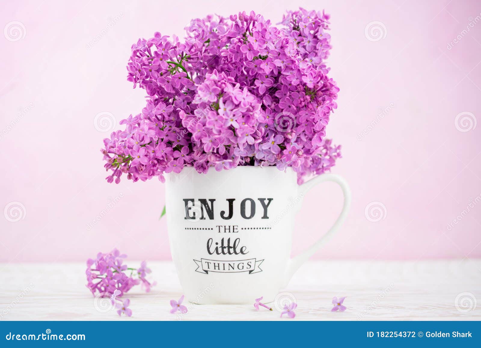 杯中粉色紫丁香花欣赏白色背景中的小东西库存照片 图片包括有花束 编排者 的吹嘘 绽放 雏菊