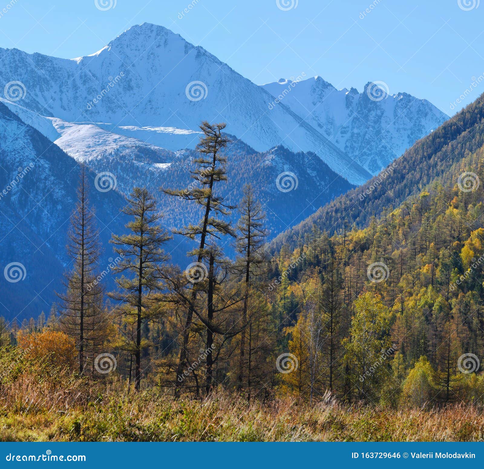 林高山峡库存照片 图片包括有林高山峡 林高山峡库存照片 图片包括有林高山峡