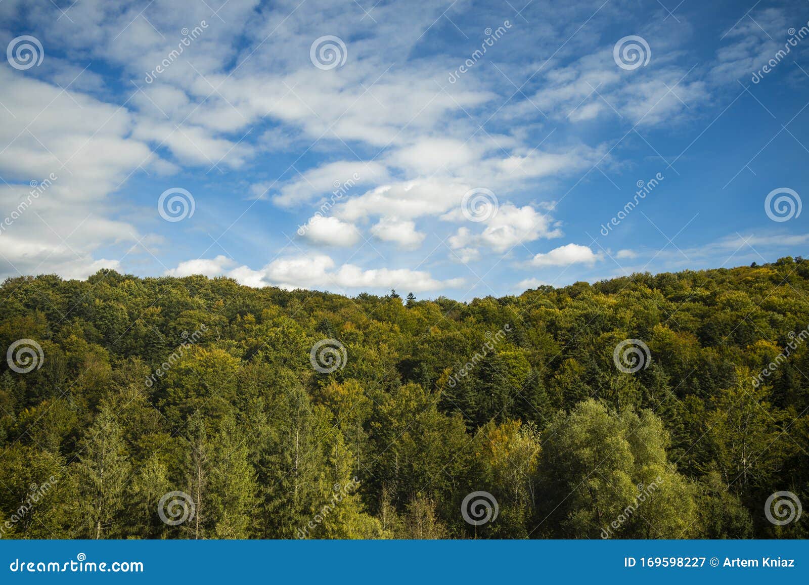 树木树顶绿叶地平线景观背景春时景景观航空摄影壁纸图案空空库存图片 图片包括有树木树顶绿叶地平线景观背景春时景景观航空摄影壁纸图案空空