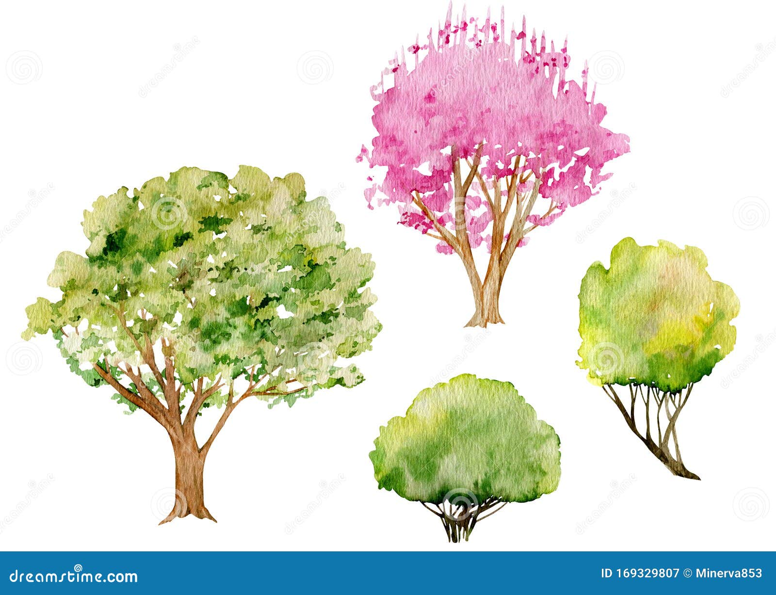 树木灌木水彩夹艺春初樱桃粉花树新绿黄灌木库存例证 插画包括有春初樱桃粉花树新绿黄灌木 树木灌木水彩夹艺 树木灌木水彩夹艺春初樱桃粉花树新绿黄灌木库存例证 插画包括有春初樱桃粉花树新绿黄灌木 树木灌木水彩夹艺