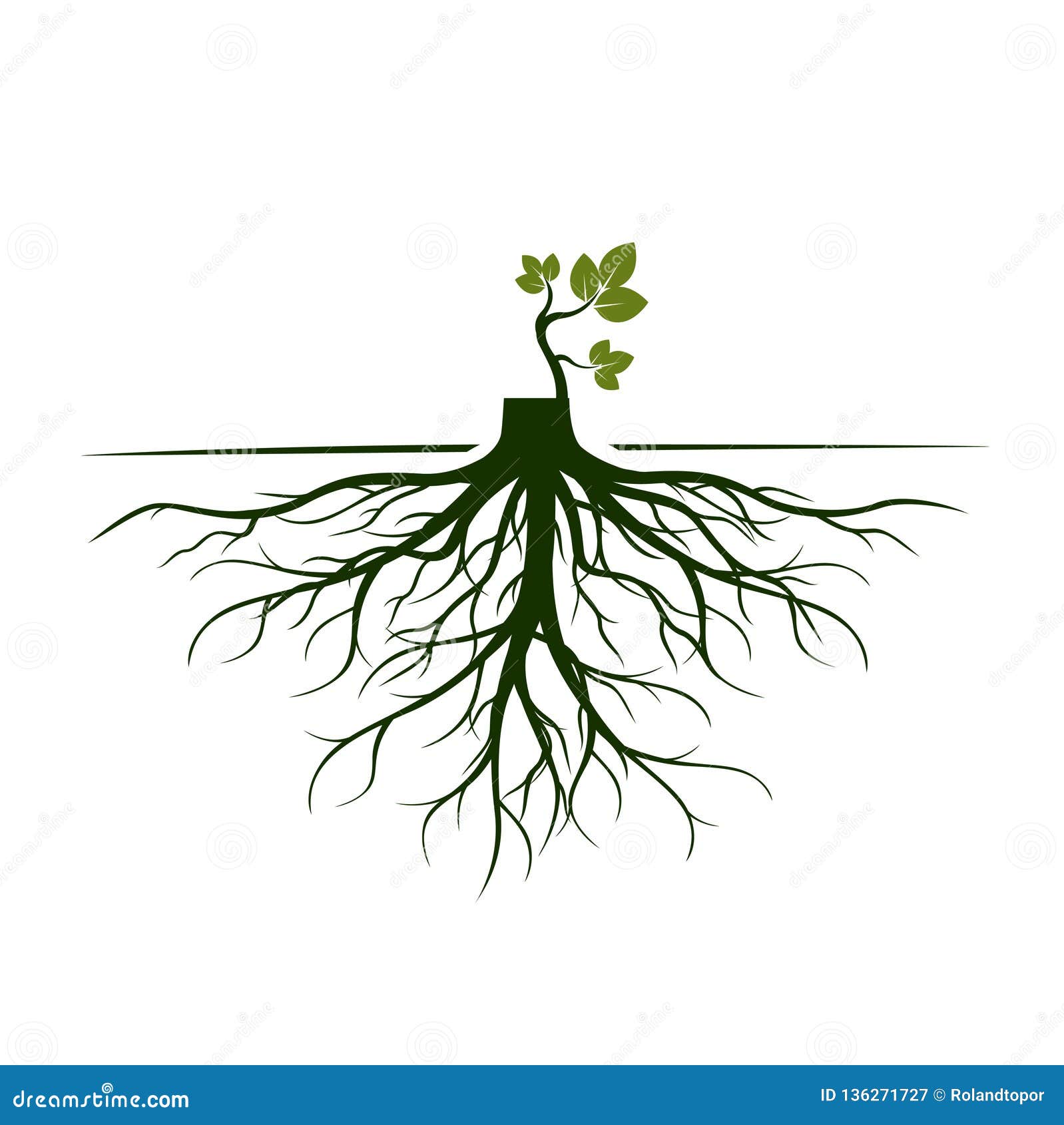 树根和发芽肢体植物根也corel凹道例证向量向量例证 插画包括有肢体 线路 吟呦诗人