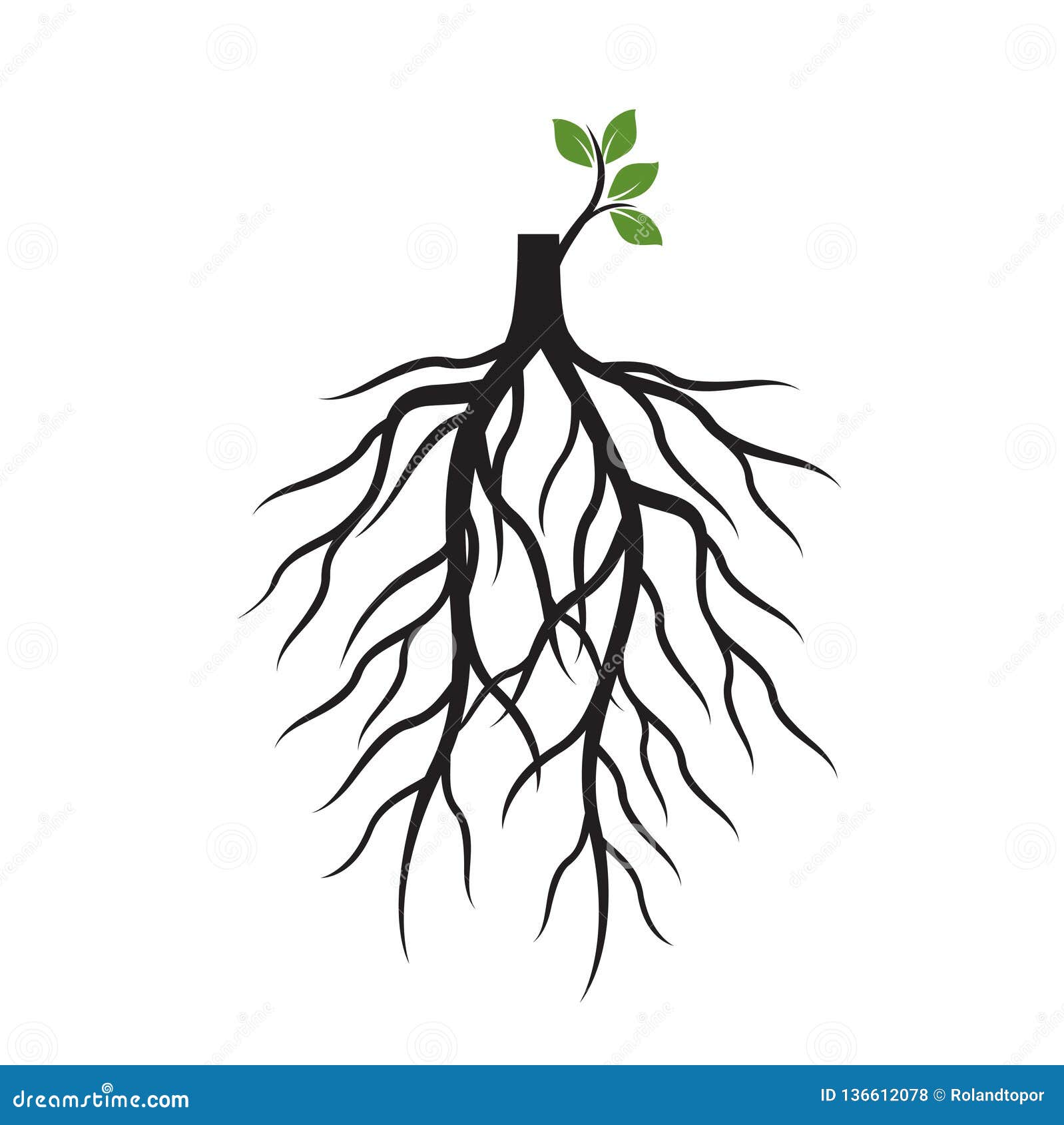 树根和发芽肢体植物根也corel凹道例证向量向量例证 插画包括有全能 环境 分级显示