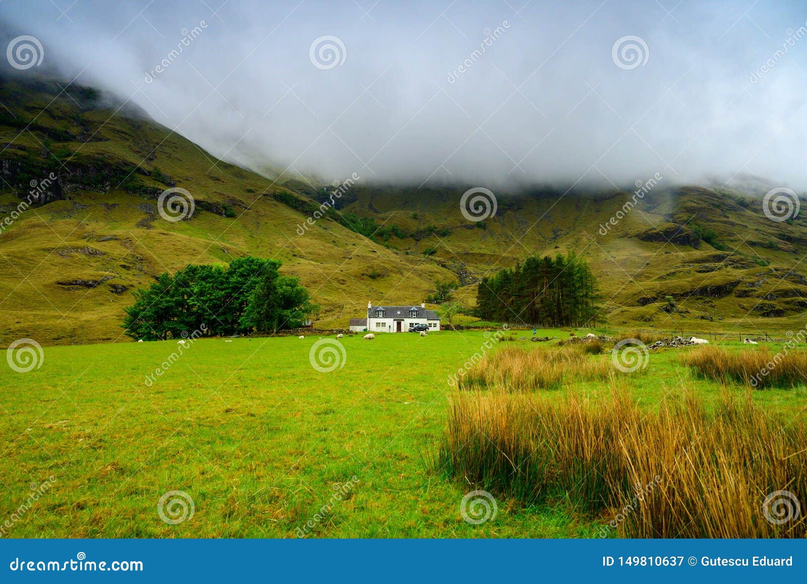 格伦克风景 高地苏格兰风景 在夏时的自然库存图片 图片包括有格伦克风景 高地苏格兰风景 在夏时的自然