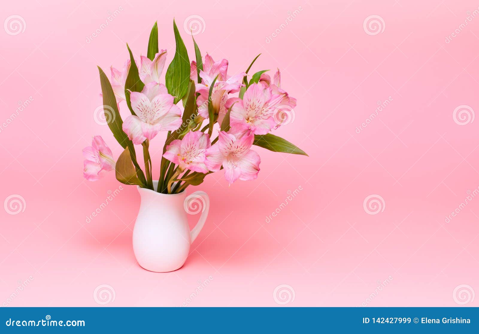 Bouquet Of Pink Flowers On A Pink Background Spring Flowers In A White Vase Minimalism 库存图片 图片包括有装饰 仍然 Bouquet Of Pink Flowers On A Pink Background Spring Flowers In A White Vase Minimalism 库存图片 图片包括有装饰 仍然