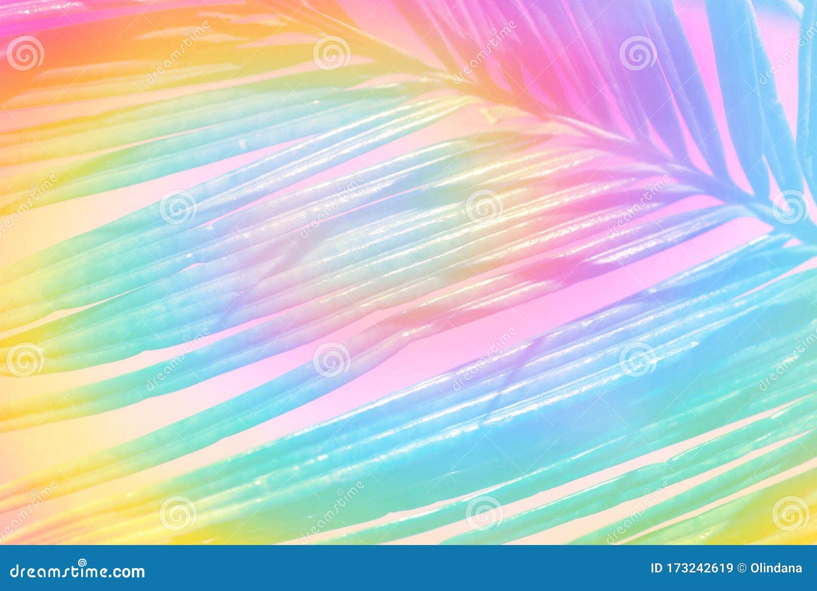 棕叶霓虹彩色热带自然植物背景条纹图案库存图片 图片包括有夏天 颜色 几何 淡色 掌上型计算机