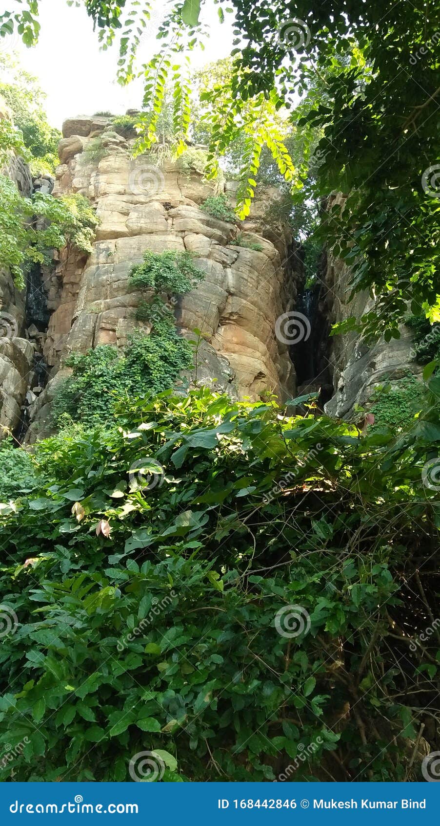 森林中的印度天然地丘库存照片 图片包括有印度 安排 小山 自然 森林 水坝 森林中的印度天然地丘库存照片 图片包括有印度 安排 小山 自然 森林 水坝