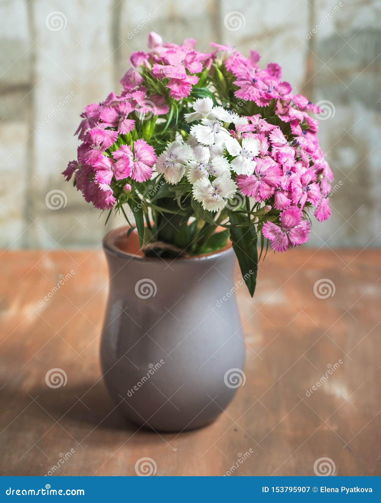 森林康乃馨花束在一个灰色黏土花瓶的在一张明亮的桌上库存图片 图片包括有 森林康乃馨花束在一个灰色黏土花瓶的在一张明亮的桌上库存图片 图片包括有