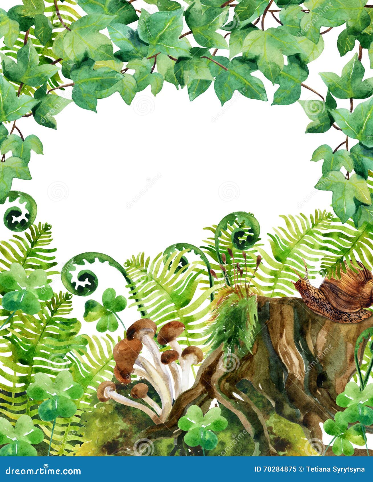 森林水彩背景库存例证 插画包括有末端 盖子 例证 常春藤 照亮 背包 叶子 生态 蘑菇 森林水彩背景库存例证 插画包括有末端 盖子 例证 常春藤 照亮 背包 叶子 生态 蘑菇