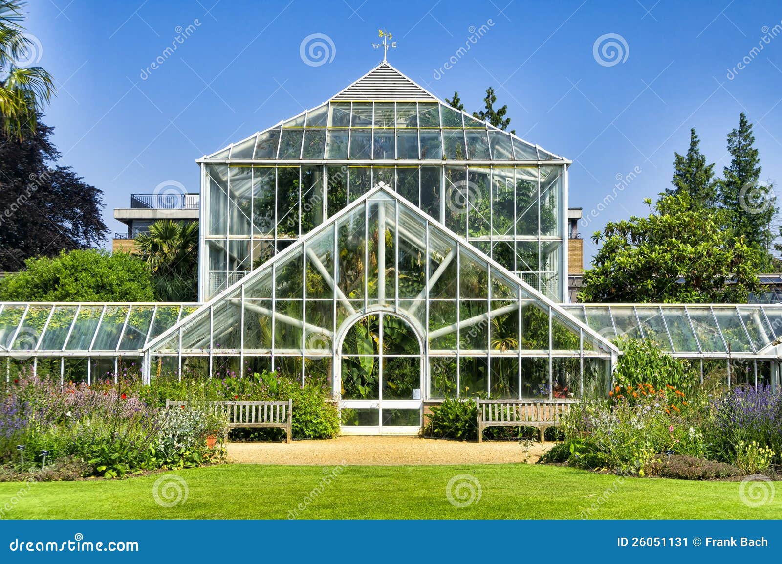 植物园 温室库存图片 图片包括有结构树 温室 里面 大学 本质 英国 科学 草本 玻璃温室