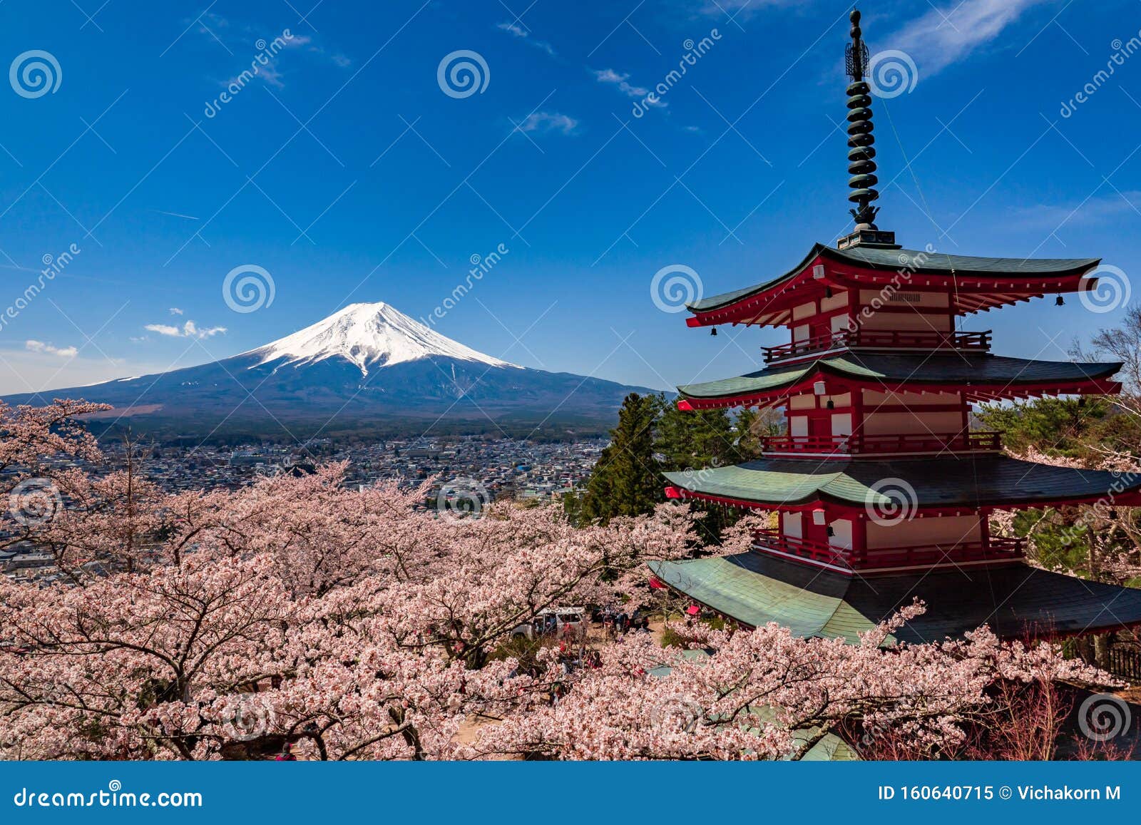 楚瑞托塔与山春季富士富士吉田樱花富士山是日本最高的山库存图片 图片包括有春天 挂接 楚瑞托塔与山春季富士富士吉田樱花富士山是日本最高的山库存图片 图片包括有春天 挂接