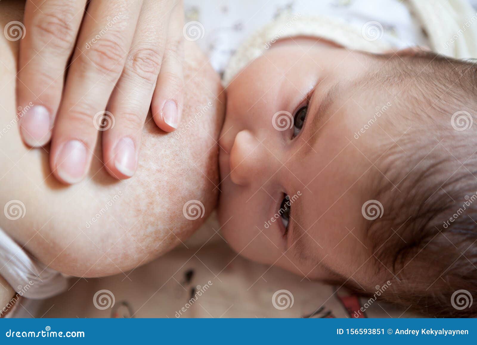 母乳喂养 新生儿母乳喂养 脸库存图片 图片包括有 母乳喂养 新生儿母乳喂养 脸库存图片 图片包括有
