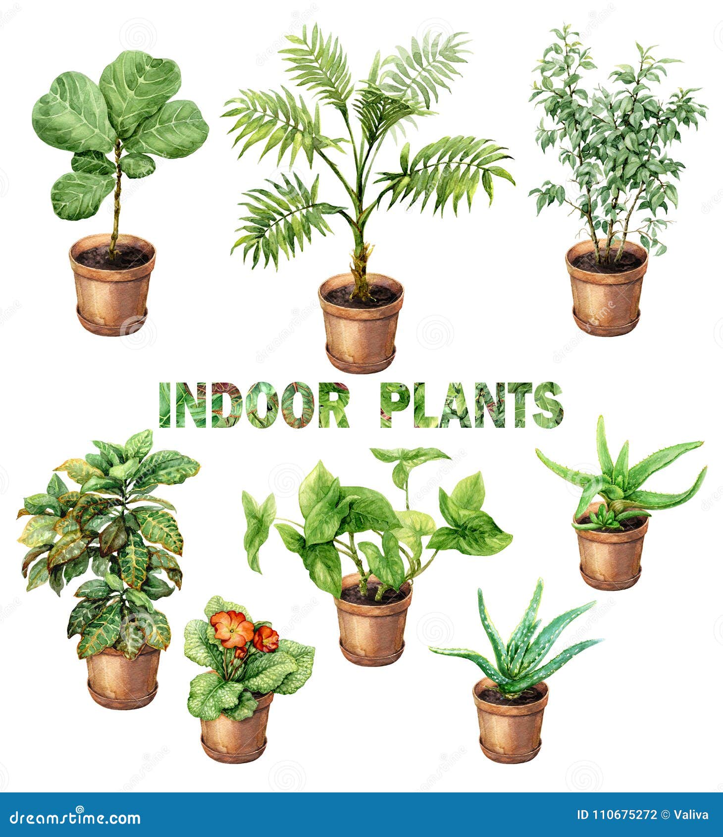 水彩室内盆栽植物库存例证 插画包括有