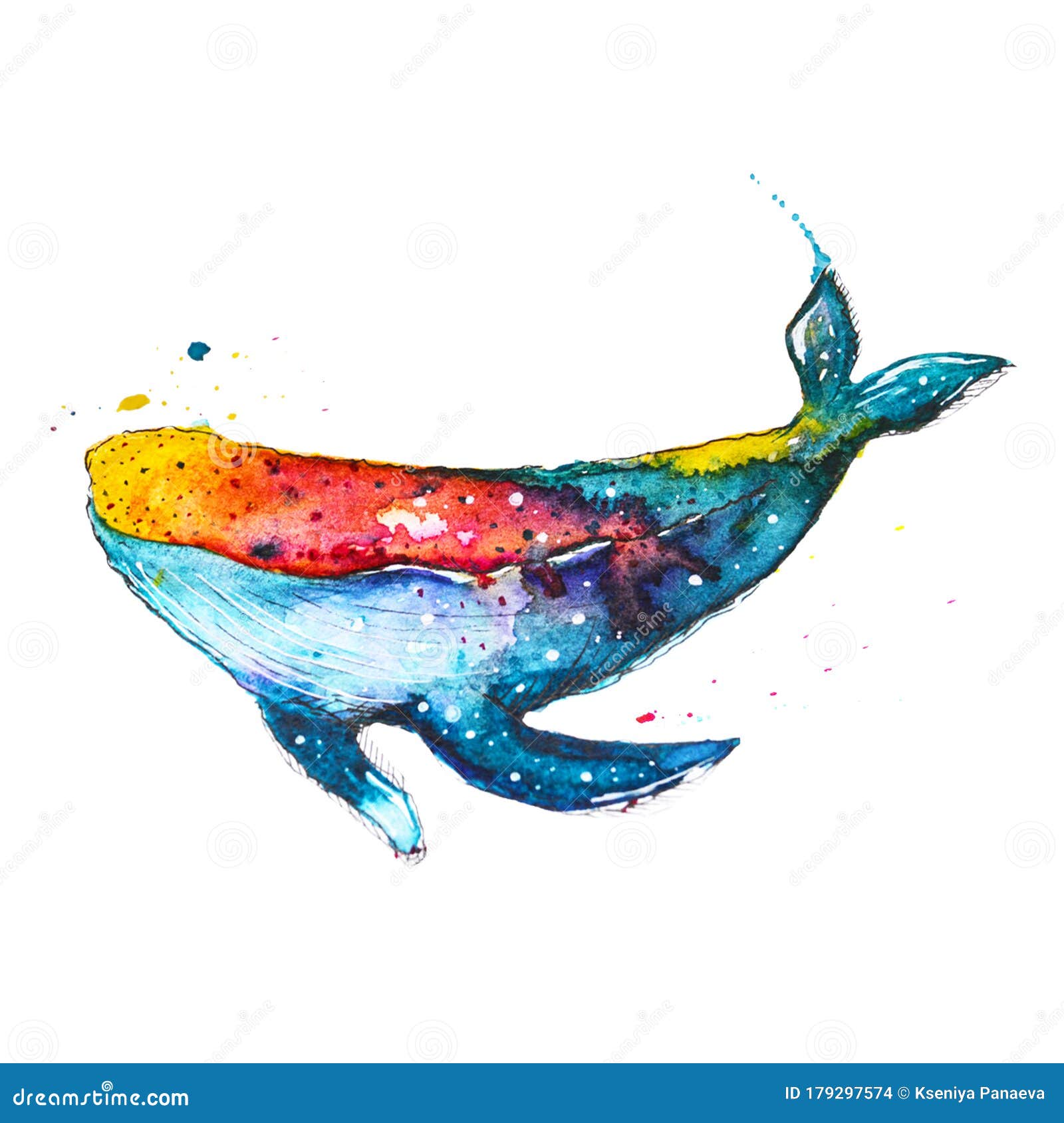 水彩手绘鲸库存例证 插画包括有油漆 空白 海洋 看板卡 例证 现有量 海运 五颜六色 水彩手绘鲸库存例证 插画包括有油漆 空白 海洋 看板卡 例证 现有量 海运 五颜六色
