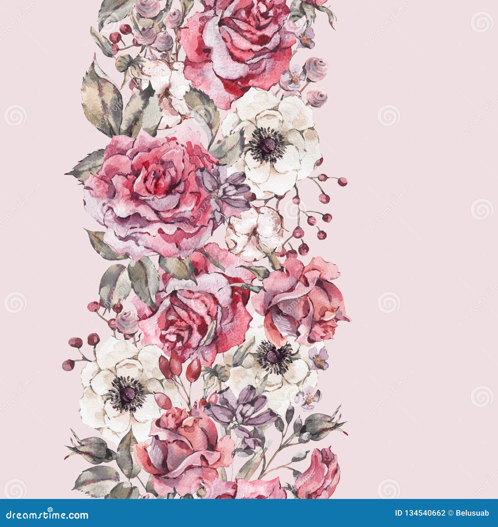 水彩桃红色玫瑰 与花的自然无缝的边界库存例证 插画包括有邀请 英语 植物群 绽放 构成 水彩桃红色玫瑰 与花的自然无缝的边界库存例证 插画包括有邀请 英语 植物群 绽放 构成