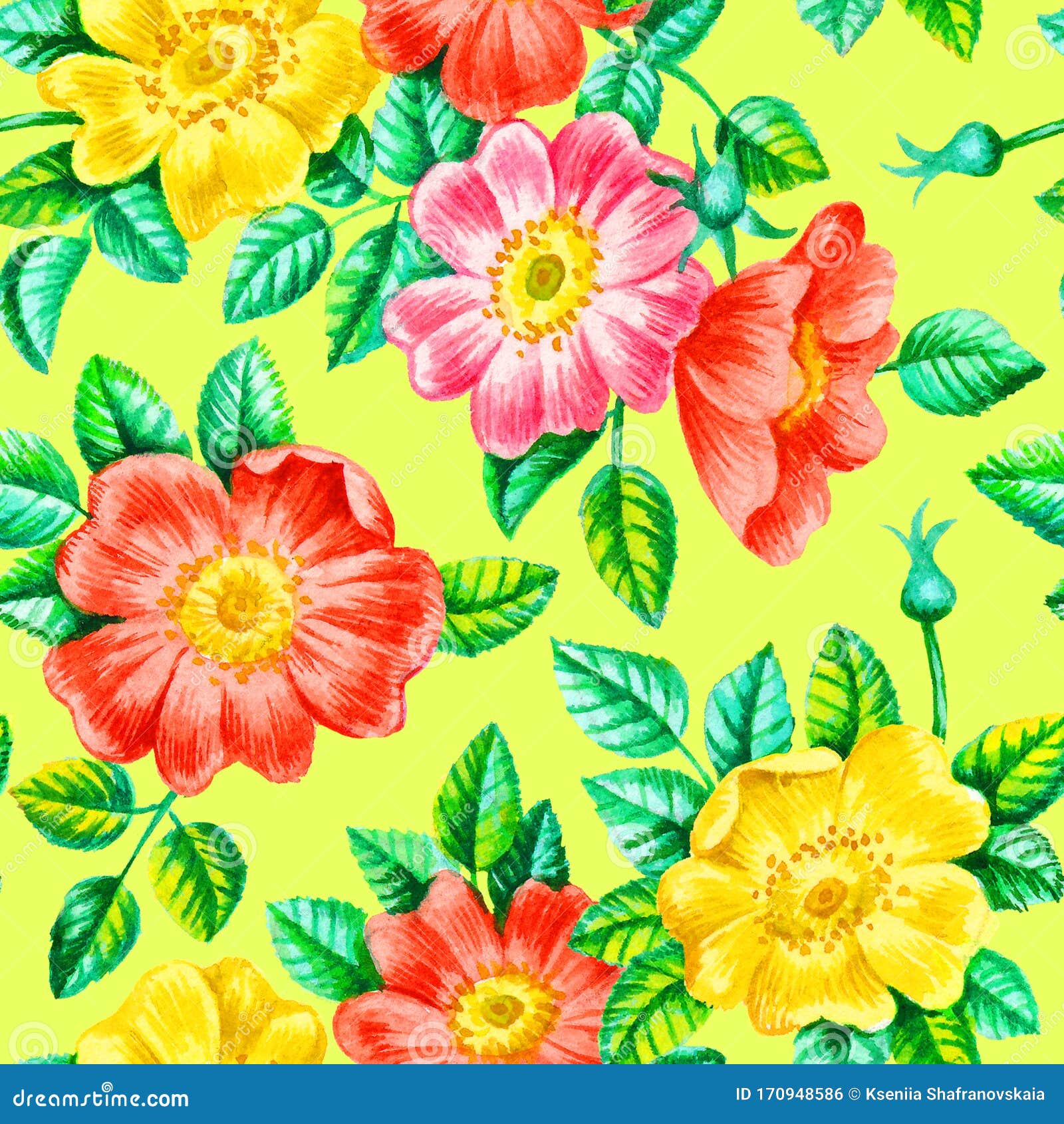 水彩狗玫瑰花无缝图案库存例证 插画包括有庭院 打印 植物群 上升了 叶子 开花 艺术 水彩狗玫瑰花无缝图案库存例证 插画包括有庭院 打印 植物群 上升了 叶子 开花 艺术