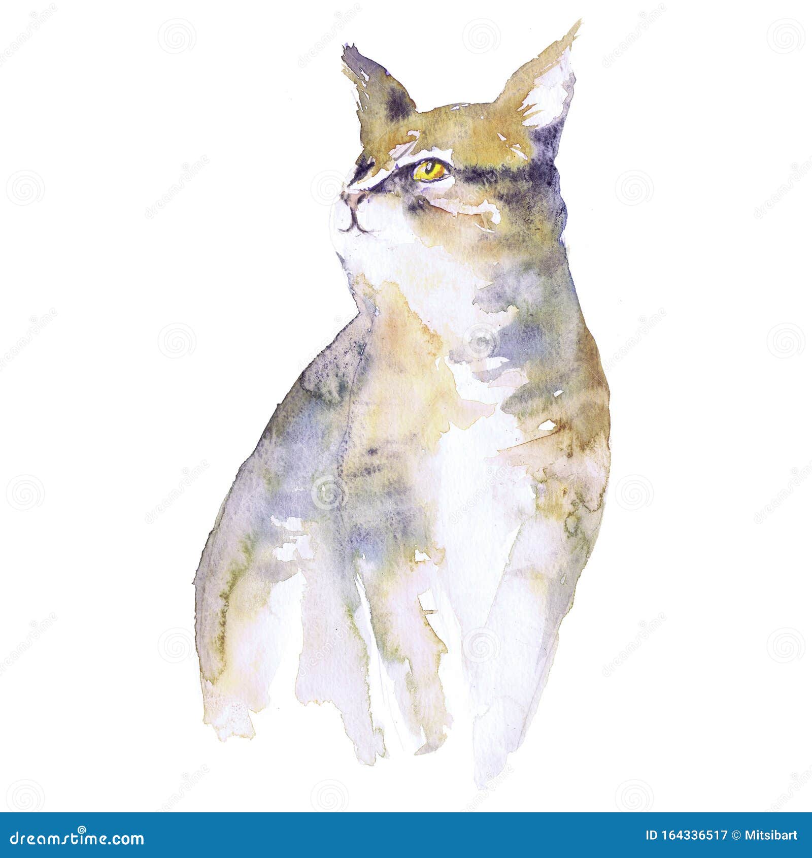 水彩猫插图白色蓬松的白背景蓝眼睛的猫库存图片 图片包括有蓬松 晚上 蓝色 图画 骆驼 设计 水彩猫插图白色蓬松的白背景蓝眼睛的猫库存图片 图片包括有蓬松 晚上 蓝色 图画 骆驼 设计
