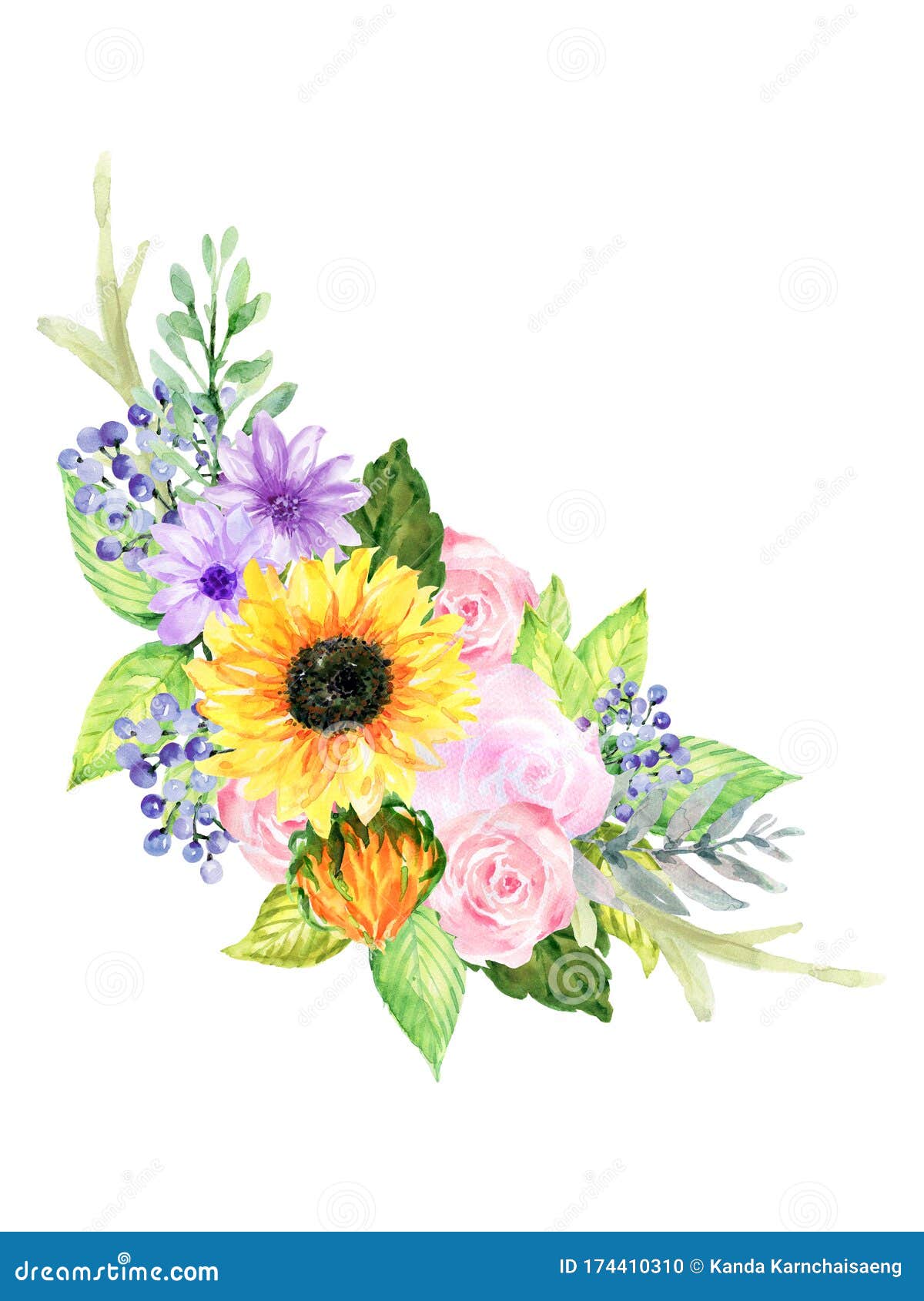水彩美丽的古朴春夏花玫瑰葵花束手绘库存例证 插画包括有庭院 构成 图画 查出 方式 花瓣
