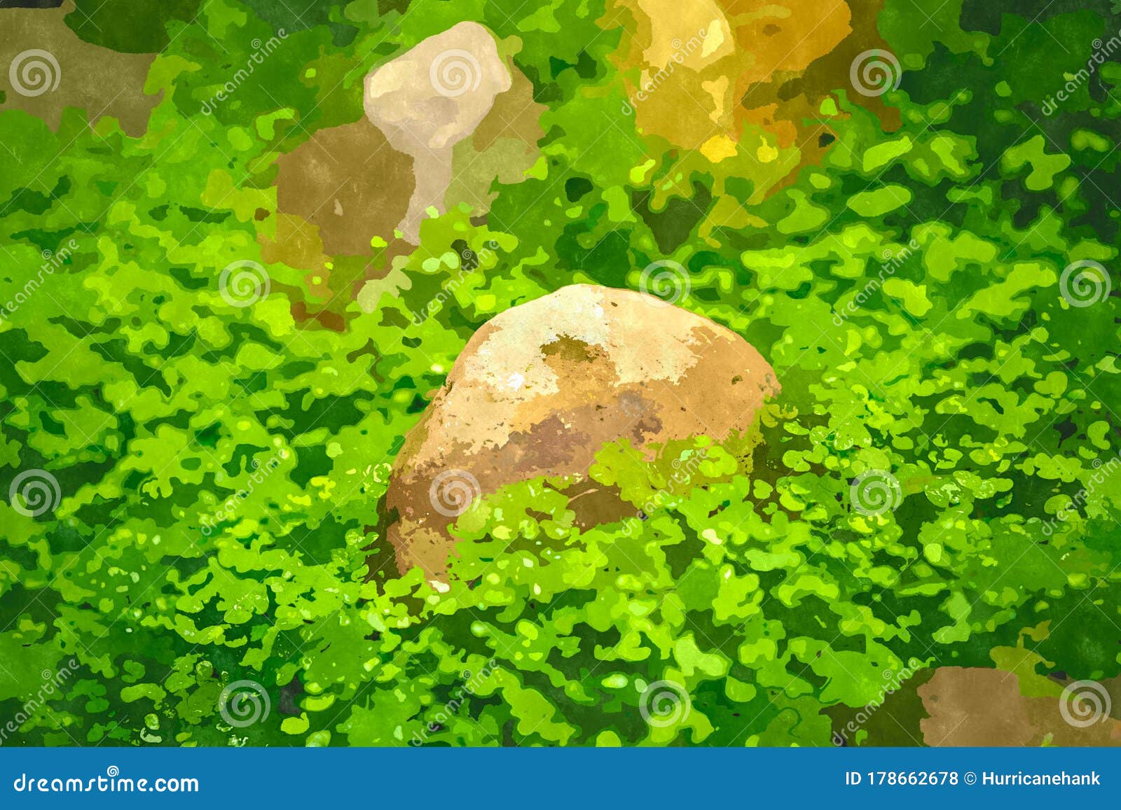 水彩花卉植物画的背景设计图解库存例证 插画包括有颜色 纹理 花卉 画布 照亮 图画 图象 水彩花卉植物画的背景设计图解库存例证 插画包括有颜色 纹理 花卉 画布 照亮 图画 图象
