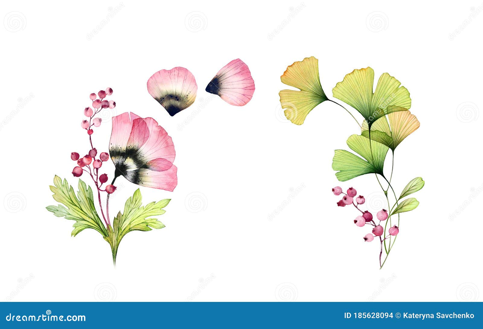 水彩花卉背景带文本位置的水平卡模板透明郁金香花和银杏叶库存照片 图片包括有粉红色 邀请 水彩花卉背景带文本位置的水平卡模板透明郁金香花和银杏叶库存照片 图片包括有粉红色 邀请