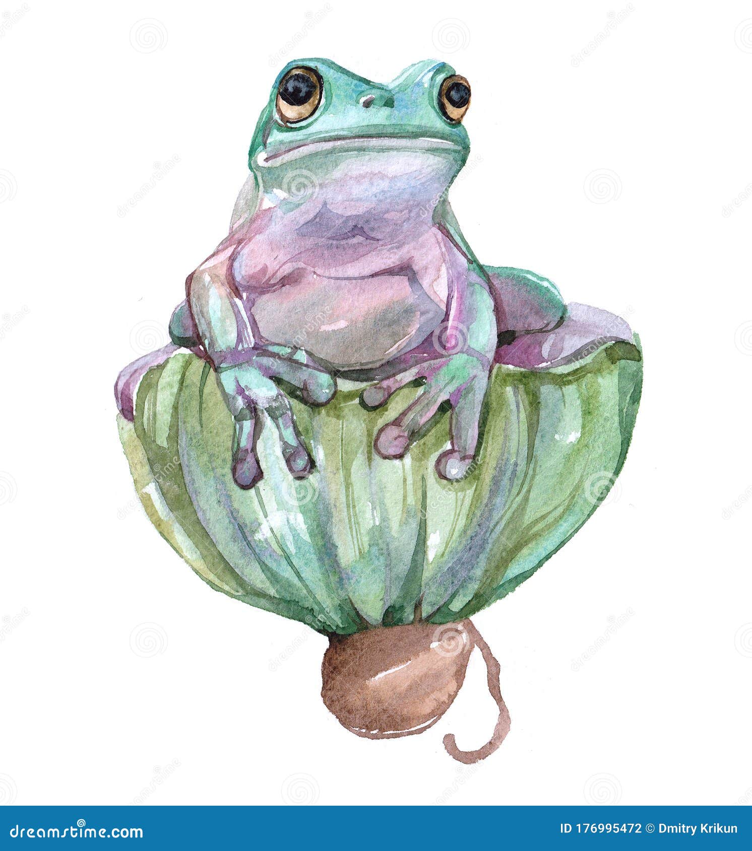 水彩蛙库存例证 插画包括有空白 黄色 查出 例证 青蛙 背包 通配 动画片 截肢术