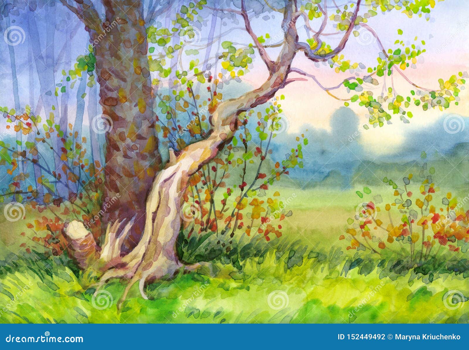 水彩风景日落在森林里库存例证 插画包括有 水彩风景日落在森林里库存例证 插画包括有