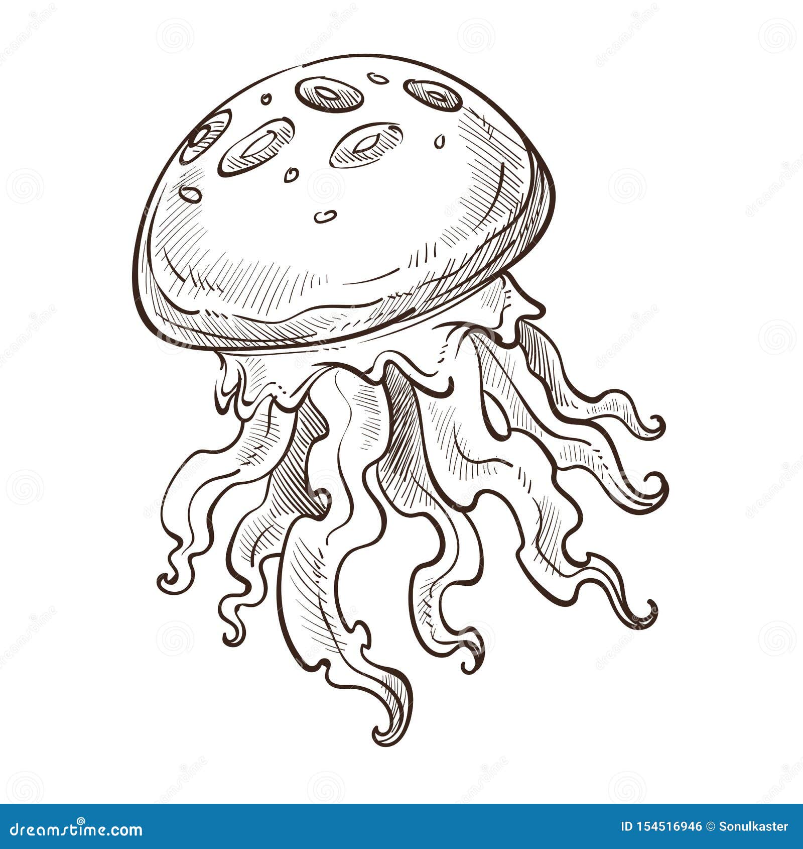 水母与触手的被隔绝的海生动物水下的生物向量例证 插画包括有光滑 查出 本质 果冻 船舶 水母与触手的被隔绝的海生动物水下的生物向量例证 插画包括有光滑 查出 本质 果冻 船舶