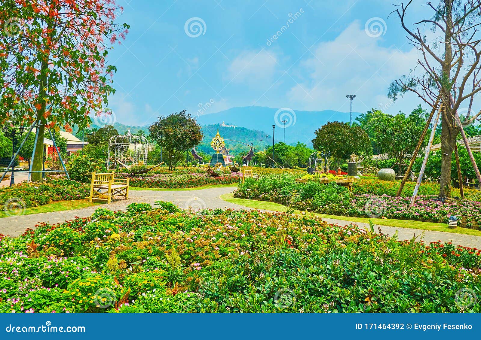 泰国清迈拉贾普鲁克皇家公园花坛图库摄影片 图片包括有泰国清迈拉贾普鲁克皇家公园花坛