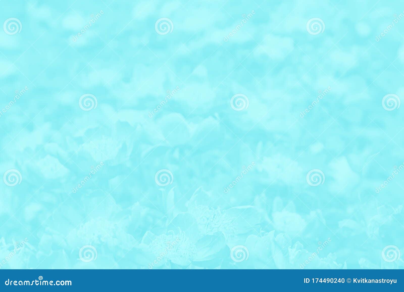 浅绿松石水色带花的背景花纹库存照片 图片包括有纹理 颜色 水色 照亮 察觉 抽象 补凑 浅绿松石水色带花的背景花纹库存照片 图片包括有纹理 颜色 水色 照亮 察觉 抽象 补凑