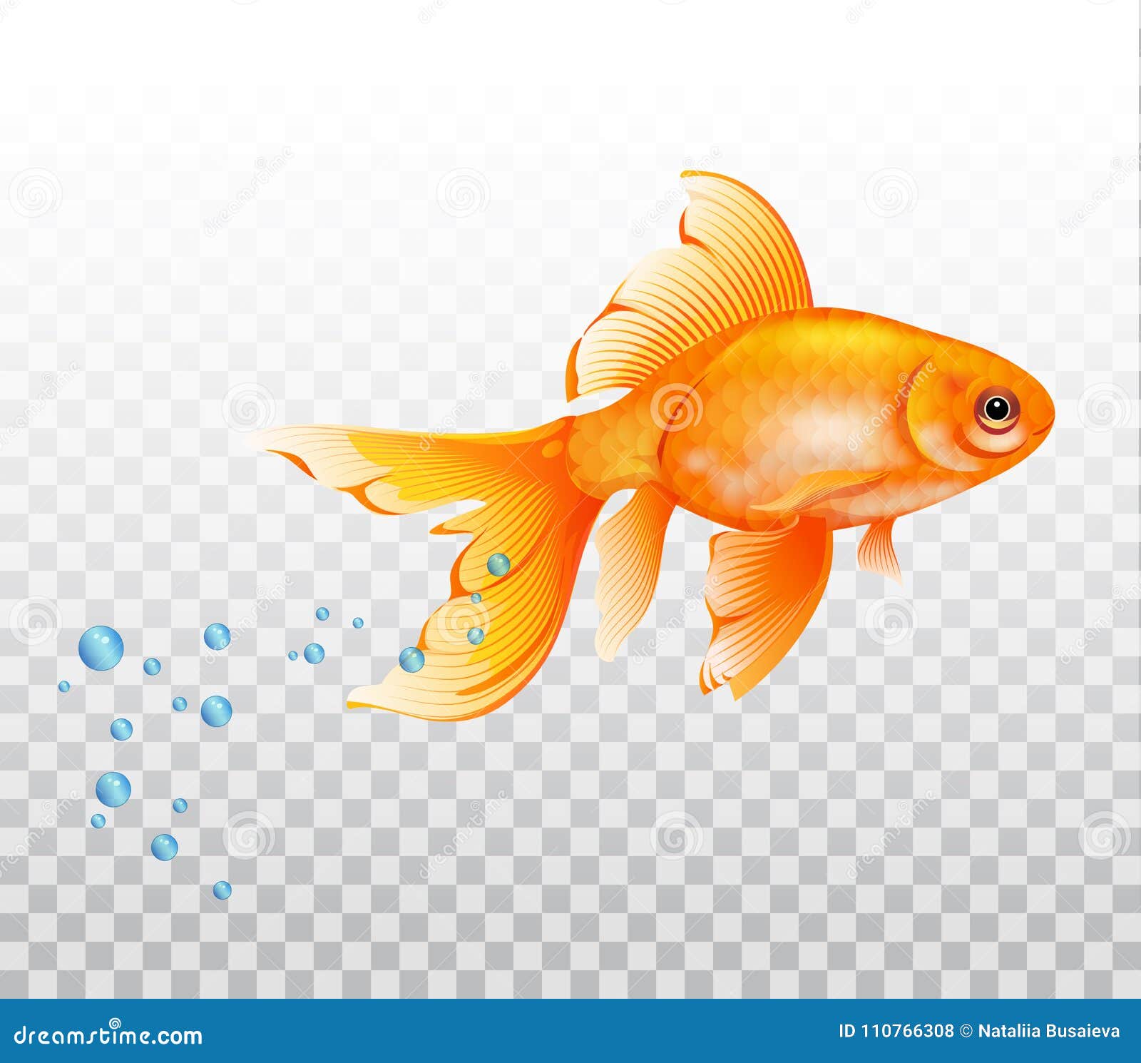 浮动金鱼在水面下与气泡的金鱼在透明背景的现实例证向量例证 插画包括有水生 本质 结算 动画片