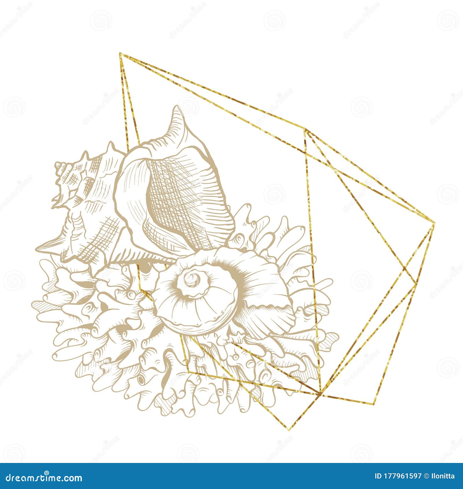海洋花环 贝壳 海珊瑚金线艺术向量例证 插画包括有感激的 剪切 背包 板刻 单色 查出 海洋花环 贝壳 海珊瑚金线艺术向量例证 插画包括有感激的 剪切 背包 板刻 单色 查出