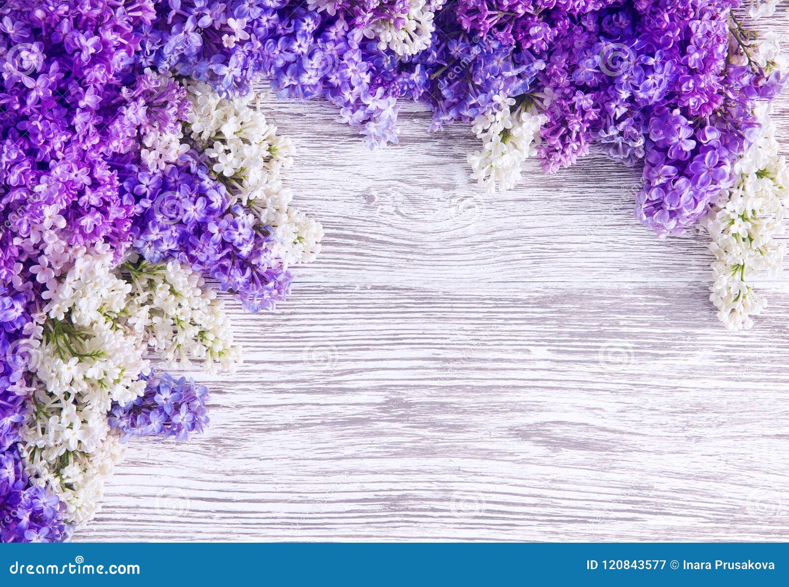 淡紫色花背景 在木板条的绽放桃红色花库存图片 图片包括有紫色 国界的 开花的 粉红色 模式