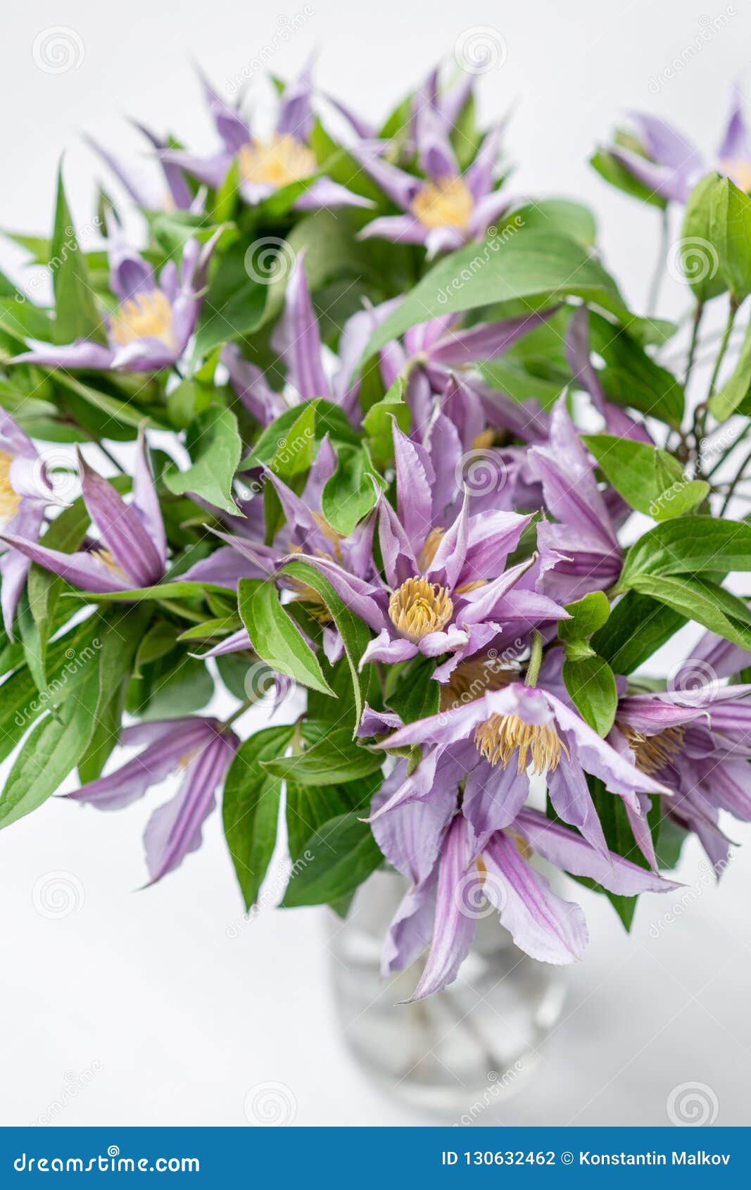 淡紫色铁线莲属花束在玻璃花瓶开花卖花人的工作在花店有花的一个玻璃花瓶库存照片 图片包括有植物群 编排者 淡紫色铁线莲属花束在玻璃花瓶开花卖花人的工作在花店有花的一个玻璃花瓶库存照片 图片包括有植物群 编排者
