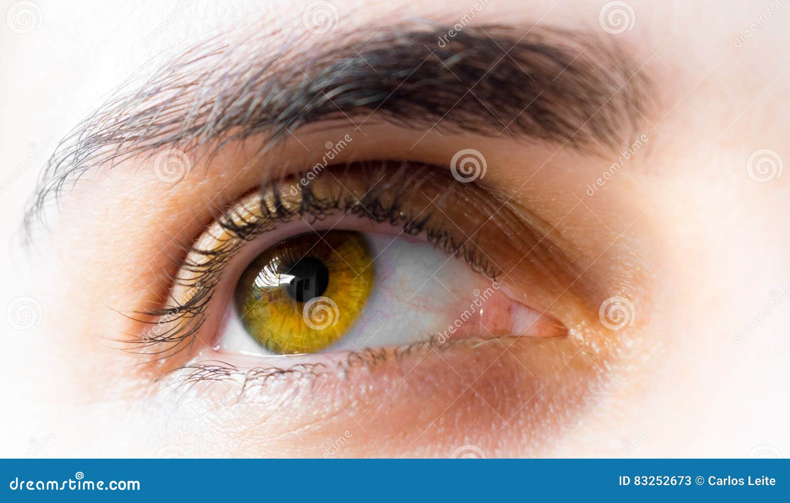 淡褐色眼睛库存图片 图片包括有远期 排球 爱好健美者 和平 眼睛 查找 详细资料 榛树 淡褐色眼睛库存图片 图片包括有远期 排球 爱好健美者 和平 眼睛 查找 详细资料 榛树