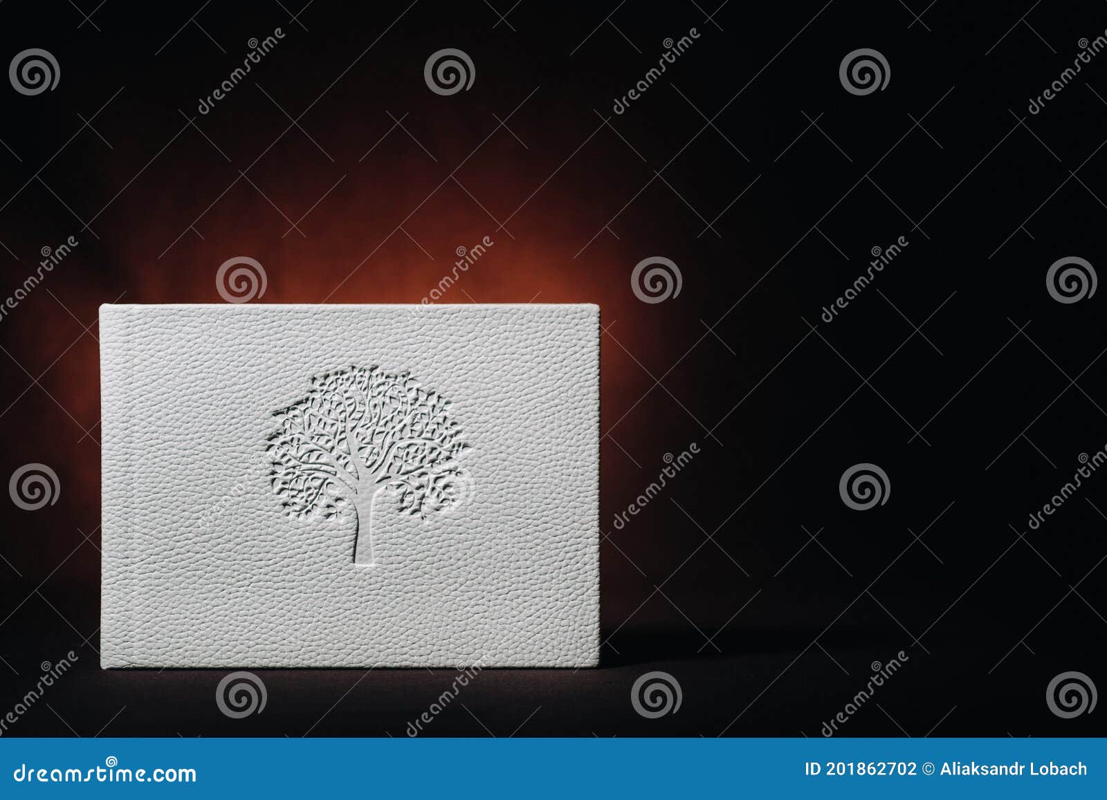 深色浮雕背景中用真白皮做的白皮书 深色背景中的白纸库存照片 图片包括有室外 照片 深色浮雕背景中用真白皮做的白皮书 深色背景中的白纸库存照片 图片包括有室外 照片