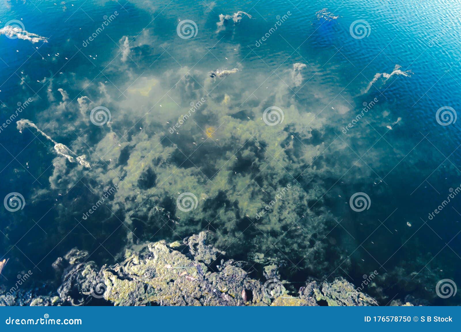 深蓝海底背景抽象图案纹理和颜色水生生物海生背景天然壁纸库存照片 图片包括有深蓝海底背景 水生生物海生背景