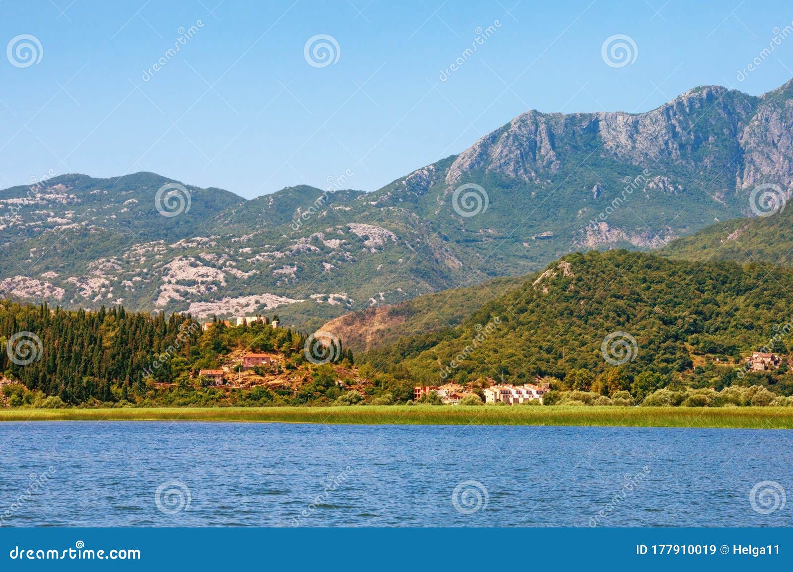 湖岸 美丽的夏日风景黑山斯卡达湖国家公园库存图片 图片包括有黑山斯卡达湖国家公园 湖岸 美丽的夏日风景